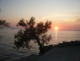/album/kepgaleria-kedvenc-kepek/kep-035-jpg/