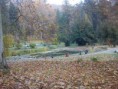 /album/kepgaleria-puspokszentlaszlo/szentl01-fg-jpg/