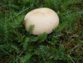 /album/kepgaleria-kedvenc-kepek/dscf4477-jpg/